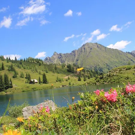 別荘 Alpenchalets Weissenbacher-fuchsbau タムスヴェーク