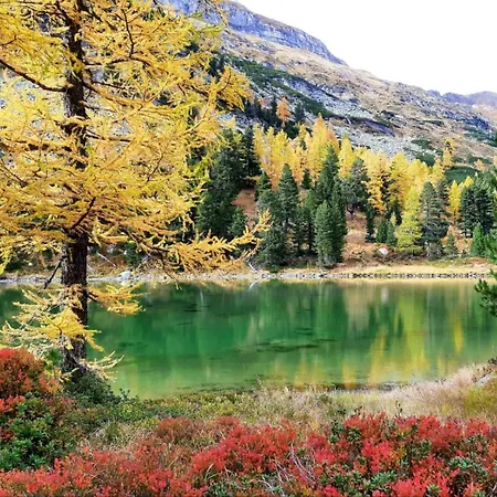Alpenchalets Weissenbacher-fuchsbau *