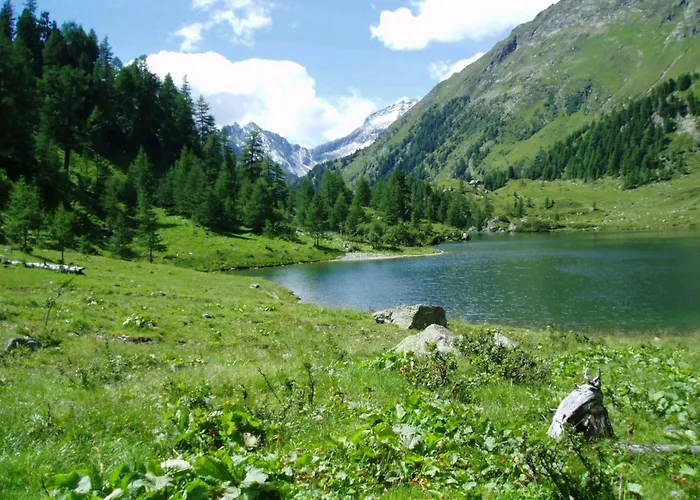 Alpenchalets Weissenbacher-fuchsbau