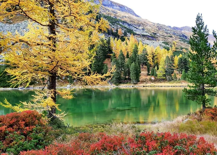 Alpenchalets Weissenbacher-fuchsbau *